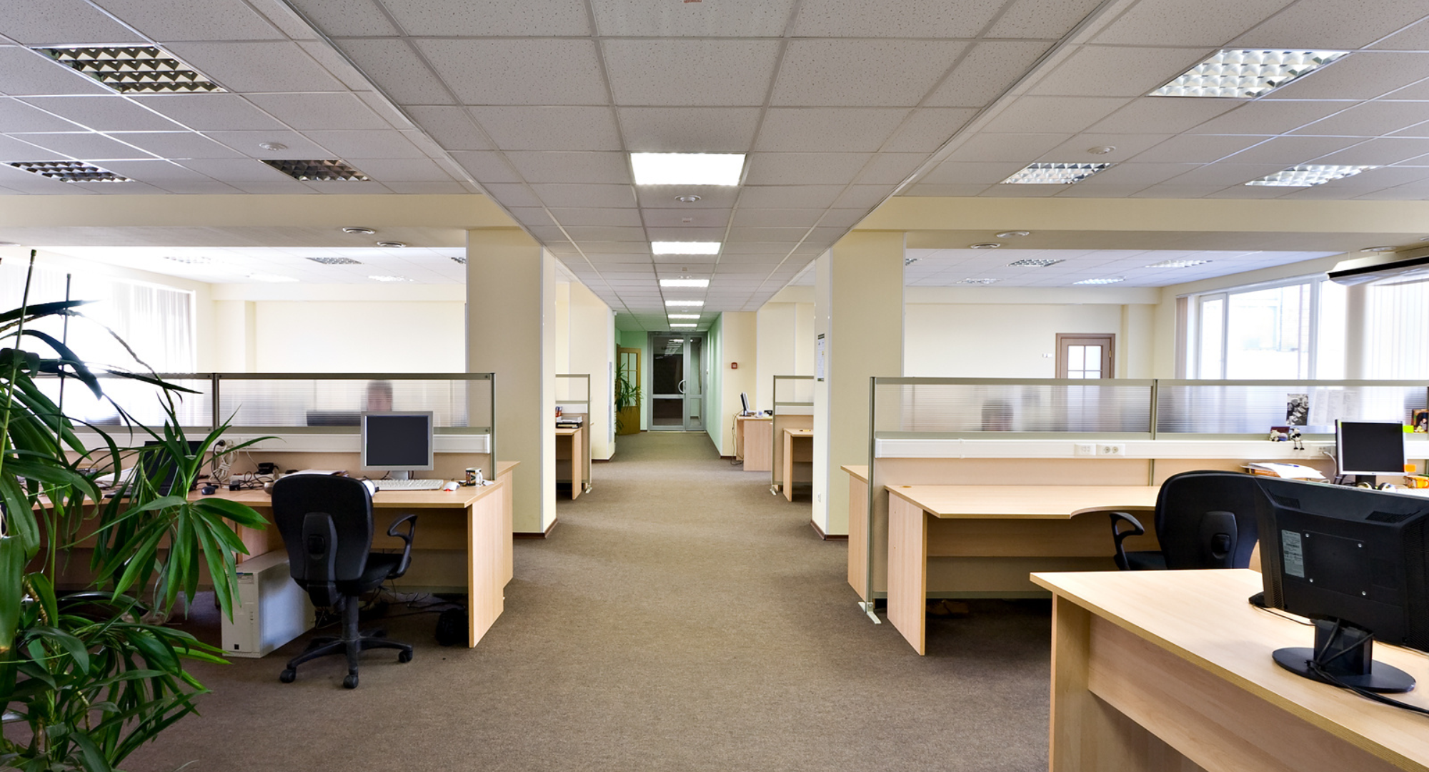 Servicio de cambio de iluminación, tomas eléctricas o interruptores eléctricos.